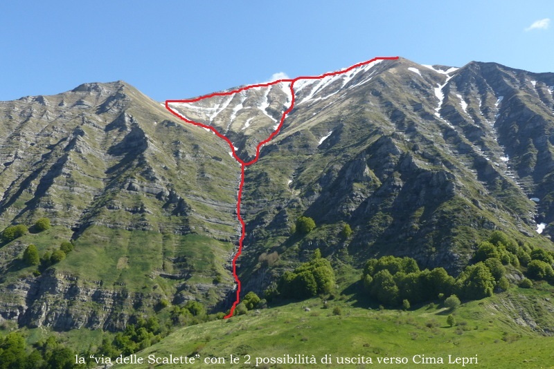 Monte Doro e Cima della Laghetta, le orchidee e i loro ambienti - luglio 2025.